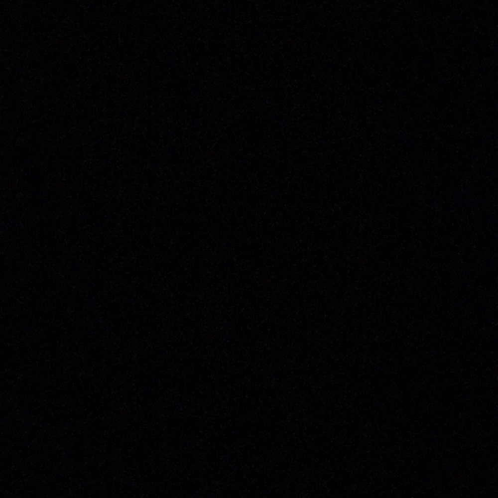 Meet your Posher, Rose